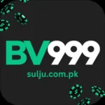 bv999 game logo with bold text and casino-style modern design.