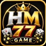 hm77 game app real logo